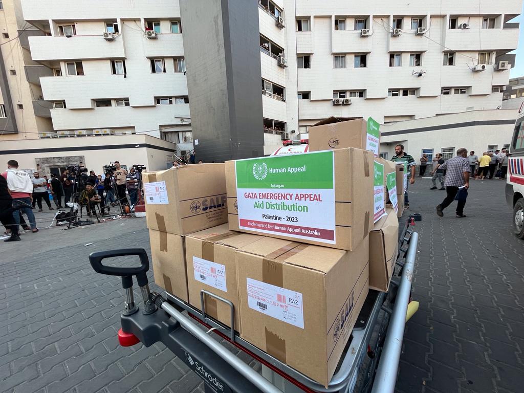 WhatsApp Image 2023 10 13 At 06.30.43