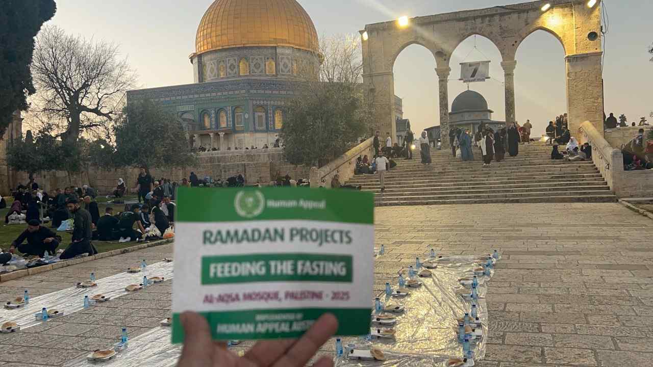 Photo 5958582518754166333 y